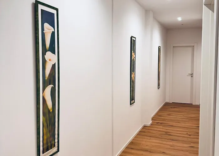 Stelle Di - Rigel - Via Marconi 40